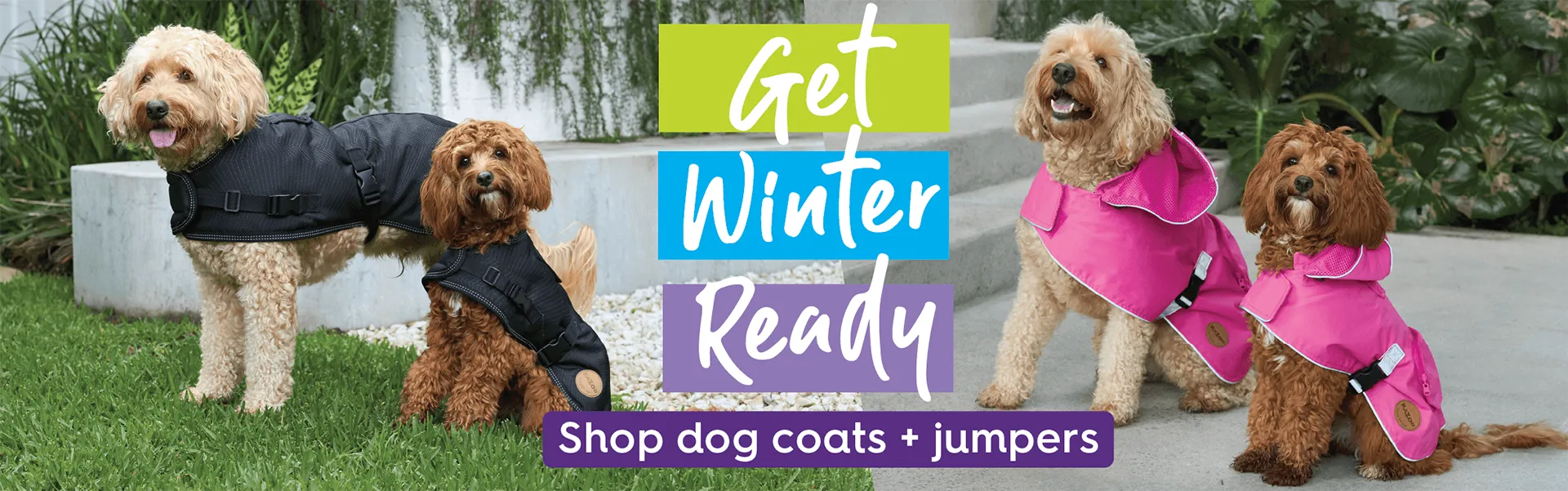 Style for Every Happy Tail